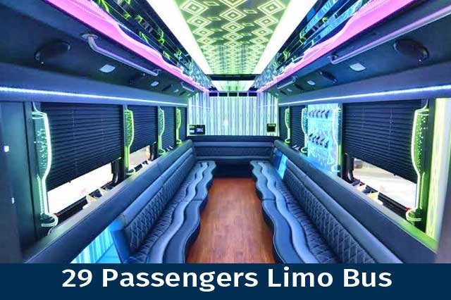 29 Passenger Limo Bus 